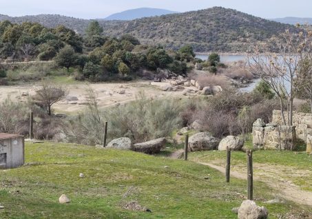 WhatsApp Image 2026-02-26 at 18.26.40 (11)