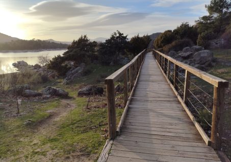 WhatsApp Image 2026-02-28 at 12.22.18(6)